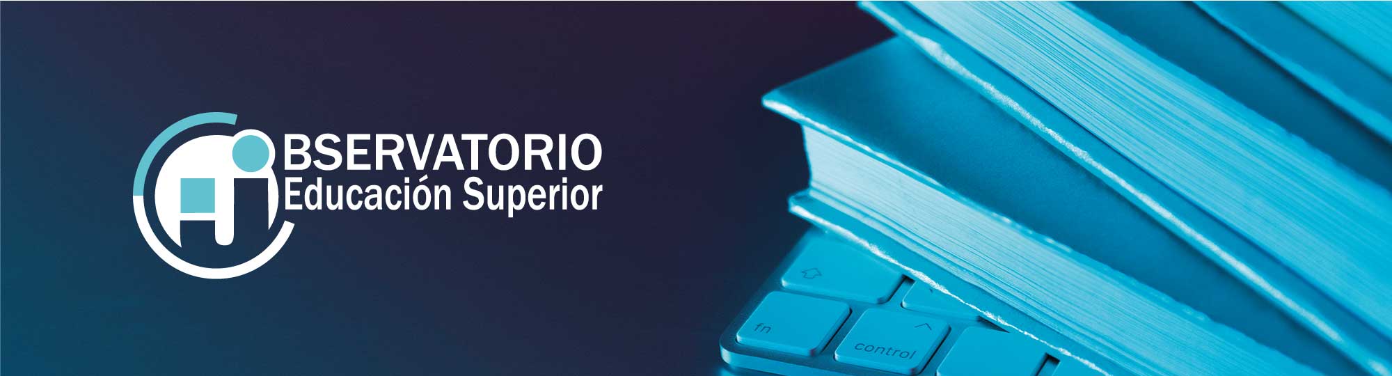 Observatorio de Educación Superior - Universidad Nacional Arturo Jauretche
